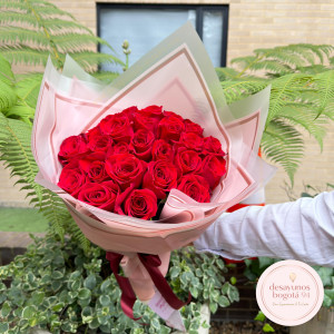 Buquet Rose Buquet Rose
