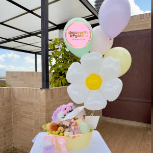 Primavera !